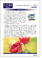 セイワ通信 vol.276