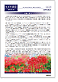 セイワ通信 vol.317