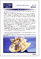セイワ通信 vol.319