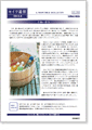 セイワ通信 vol.255