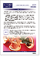 セイワ通信 vol.307