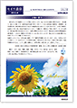 セイワ通信 vol.279