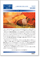 セイワ通信 vol.221