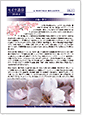 セイワ通信 vol.311