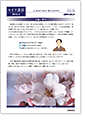 セイワ通信 vol.275