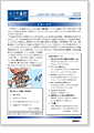 セイワ通信 vol.213