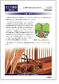 セイワ通信 vol.268