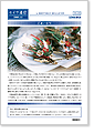 セイワ通信 vol.211