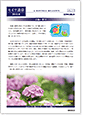 セイワ通信 vol.277