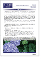 セイワ通信 vol.265