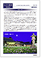 セイワ通信 vol.313