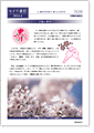 セイワ通信 vol.263
