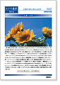セイワ通信 vol.219