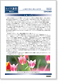 セイワ通信 vol.239