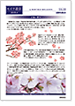 セイワ通信 vol.323