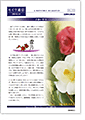 セイワ通信 vol.270