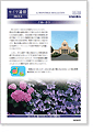 セイワ通信 vol.253