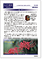 セイワ通信 vol.280