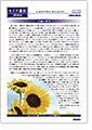 セイワ通信 vol.291
