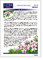 セイワ通信 vol.312