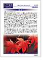 セイワ通信 vol.306