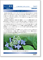 セイワ通信 vol.217
