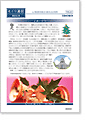 セイワ通信 vol.247