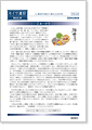 セイワ通信 vol.245