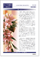 セイワ通信 vol.264