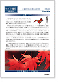 セイワ通信 vol.246