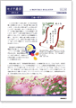 セイワ通信 vol.257