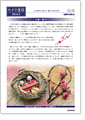 セイワ通信 vol.262