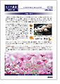 セイワ通信 vol.305