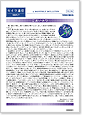 セイワ通信 vol.206