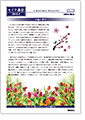 セイワ通信 vol.274